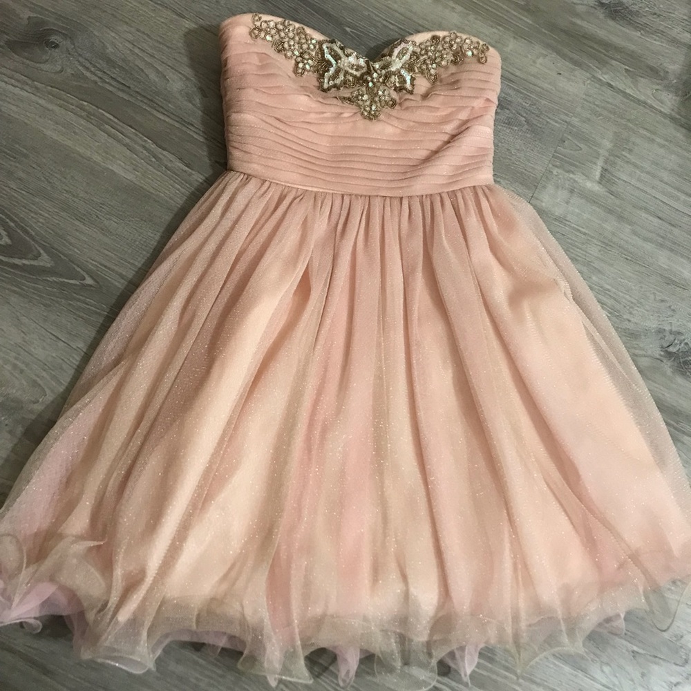 Fantasy Light Pink Dress